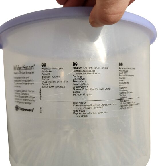 Tupperware FridgeSmart Medium Produce Container With Lid 2.5L Clear & Blue - Picture 2 of 3